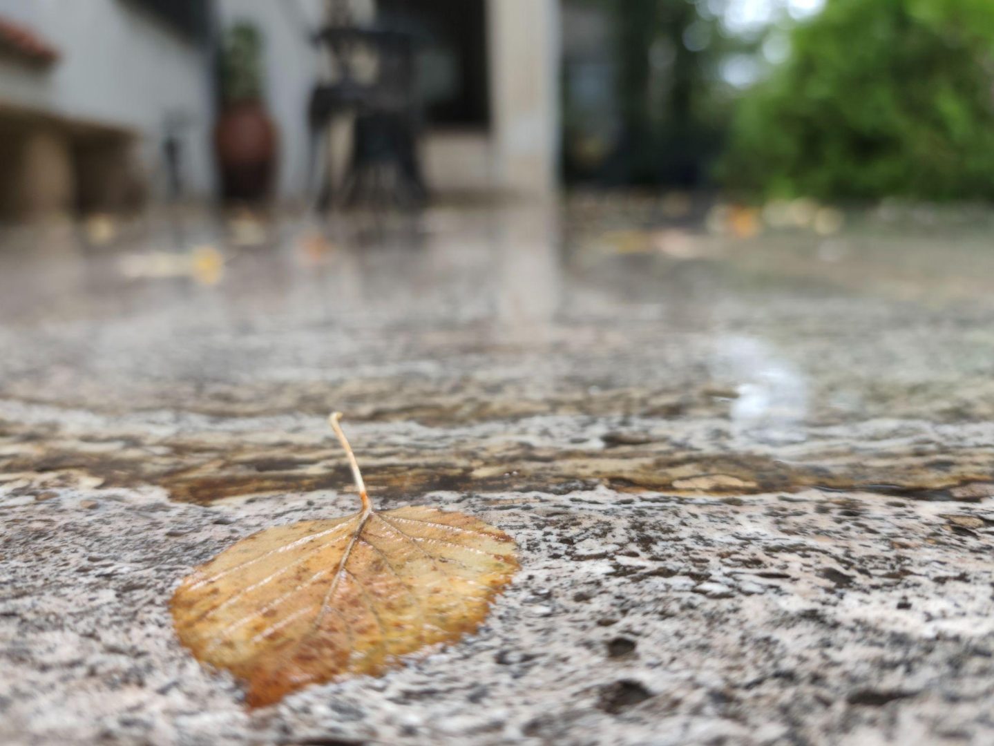 Evenimente corporate tematice și traininguri business la EkoGroup Vila